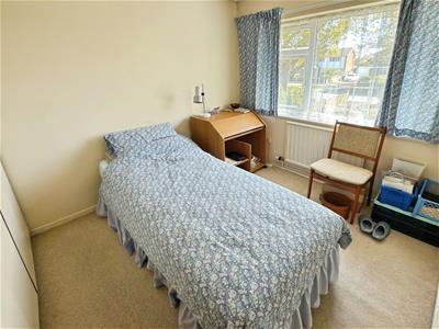 Picture 14